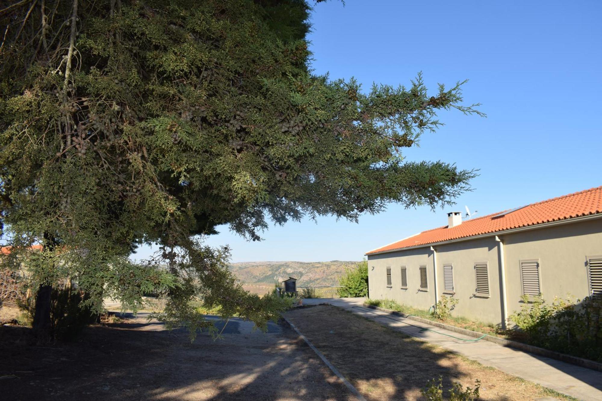 Douro Natura ベンボスタ エクステリア 写真