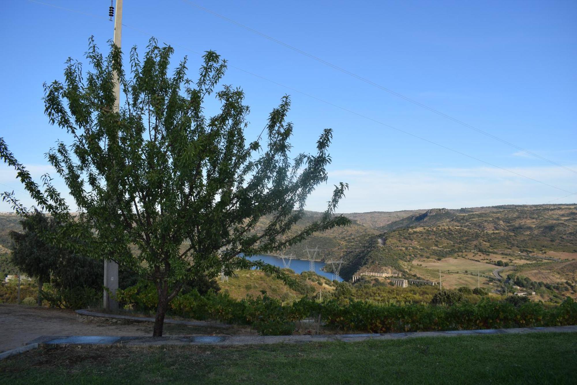 Douro Natura ベンボスタ エクステリア 写真